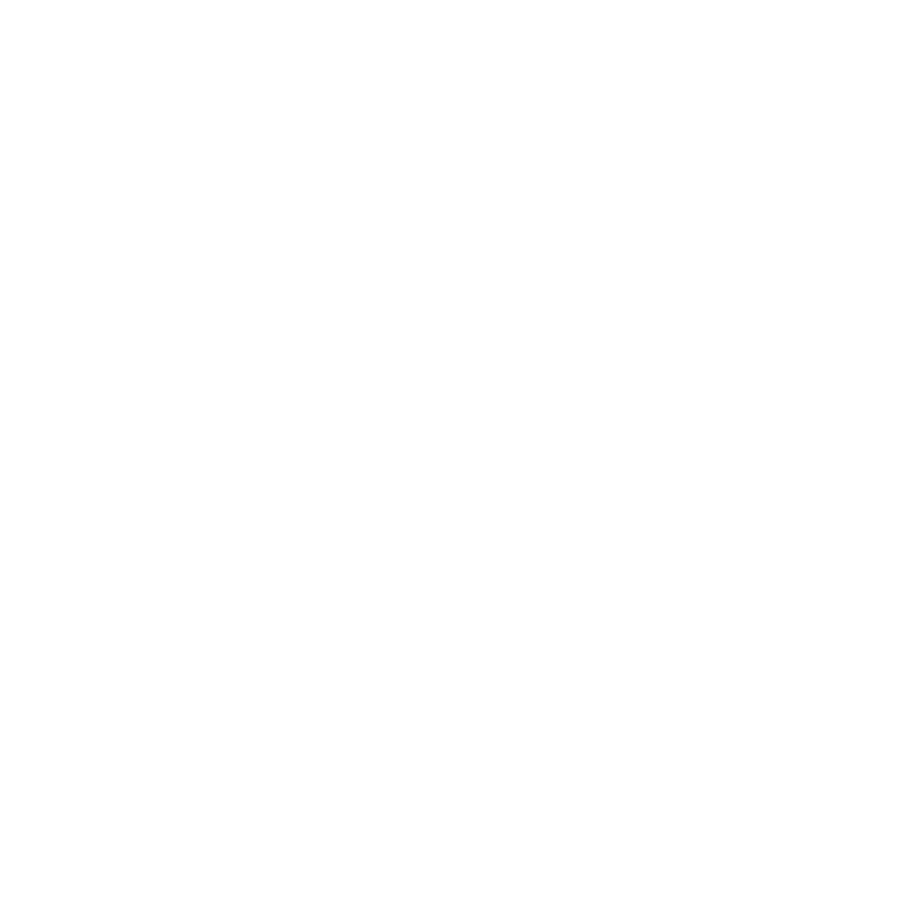 Password Icon