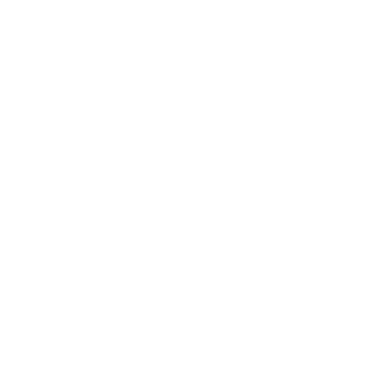 Phone Icon